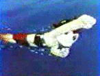astro.gif (14402 octets)