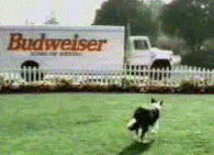 bud.gif (22987 octets)