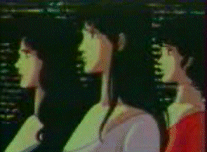 catseyes.gif (24060 octets)